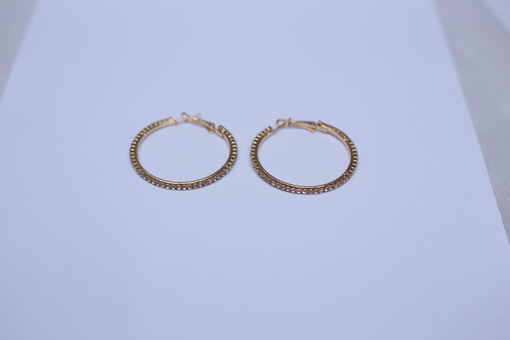 Hoop Earrings