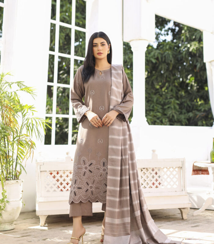 3 piece Dhanak Suit-Embroidered (Pret)